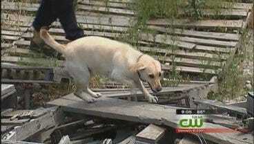 Rescue Dogs Get Disaster Training In Tulsa