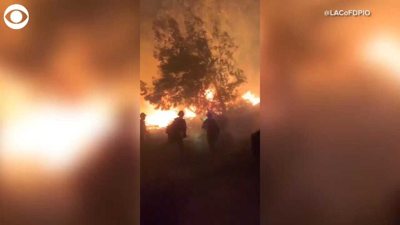 WATCH: Firefighters Battle Saddleridge Fire