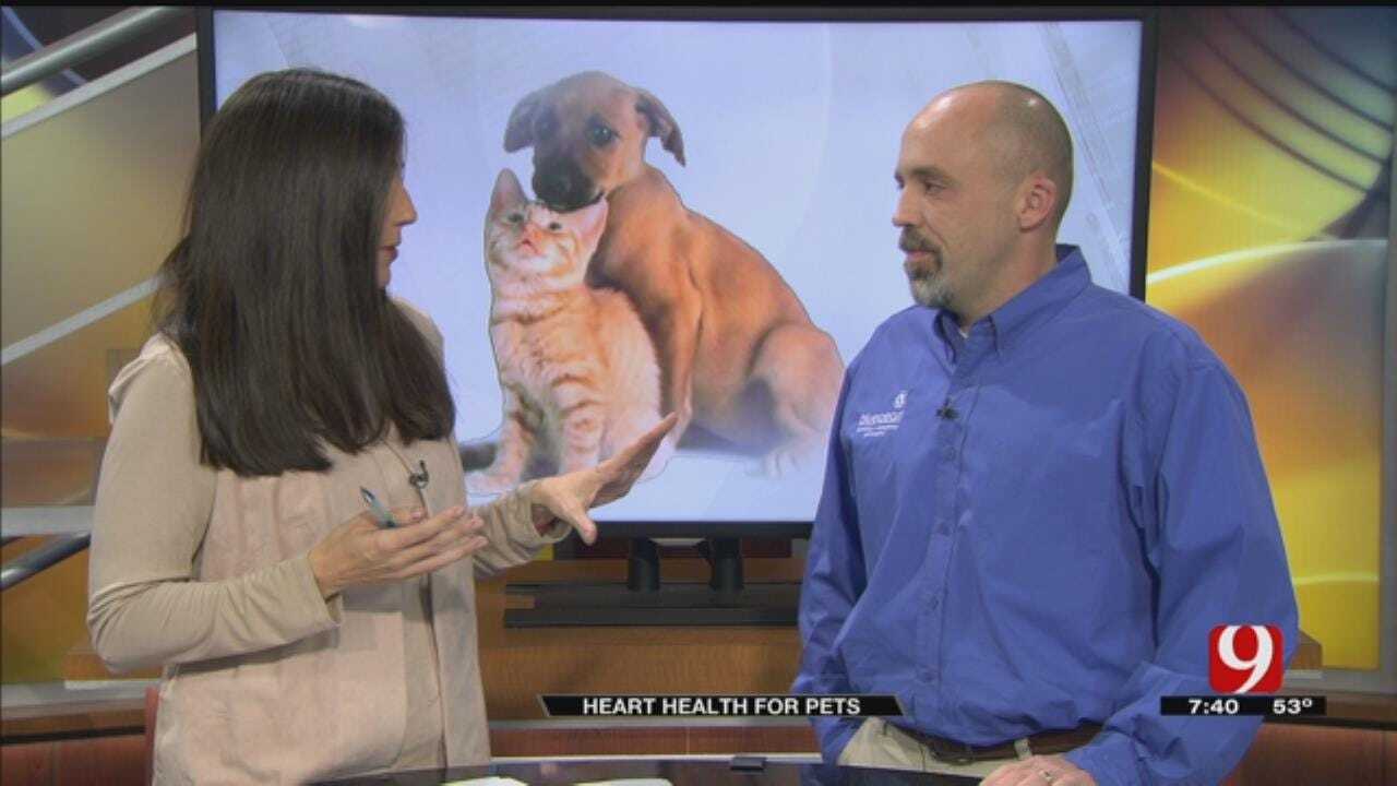 Blue Pearl Veterinary Partners: Heart Health For Pets