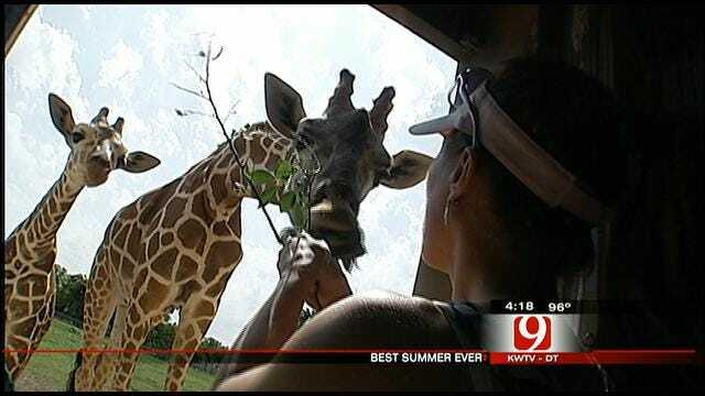 Best Summer Ever: OKC Zoo And Science Museum Oklahoma