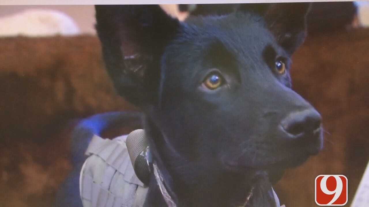 More Groups Stepping Up To Help Army Vet Train Service Dog