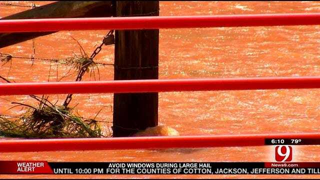 Cows Drown After Lake Thunderbird Flood Gates Opened