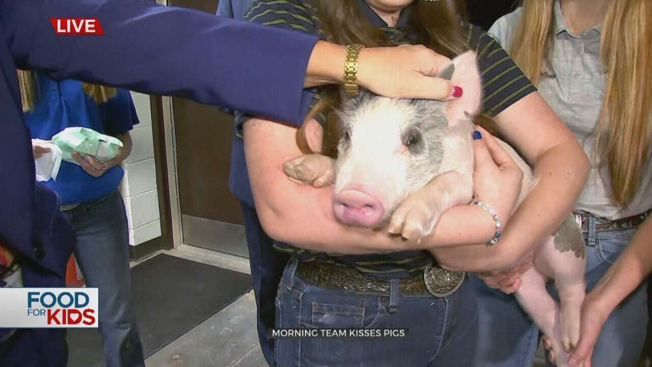 Watch: Six In The Morning Team Puckers Up To 'Kiss The Pig'