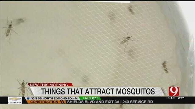 Medical Experts Find New Information On Mosquitoes