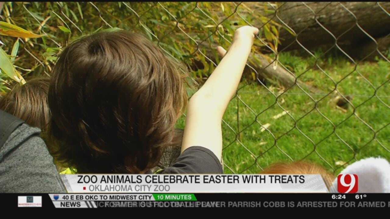Zoo Animals Celebrate Easter