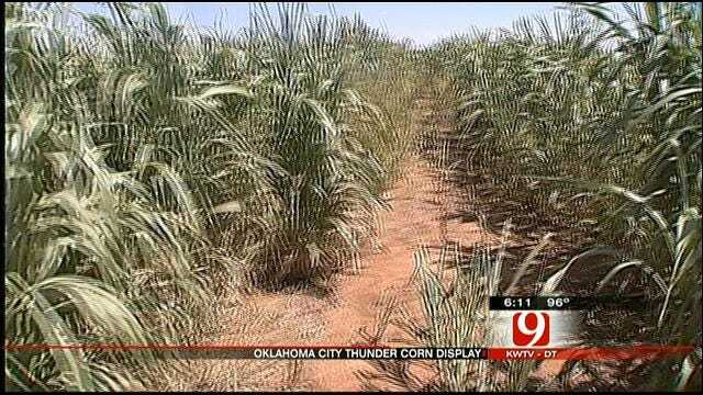 Chickasha Farm Features 'Thunder' Corn Maze