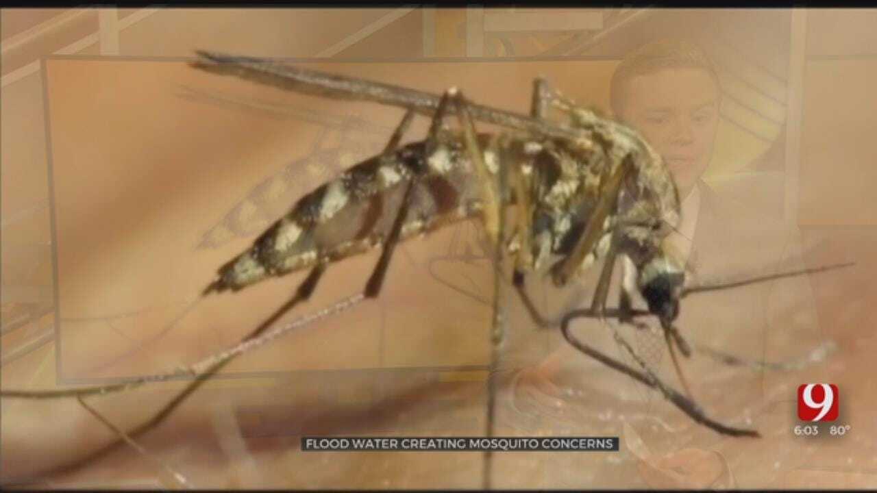 Rising Flood Waters Bring Rising Mosquito Risks Across Oklahoma