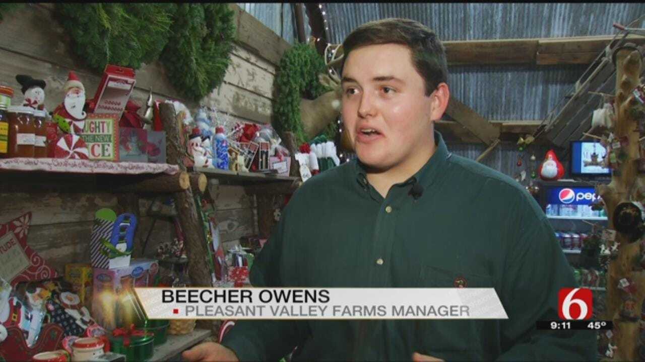 Green Country Farm Offers Unique Holiday Experience