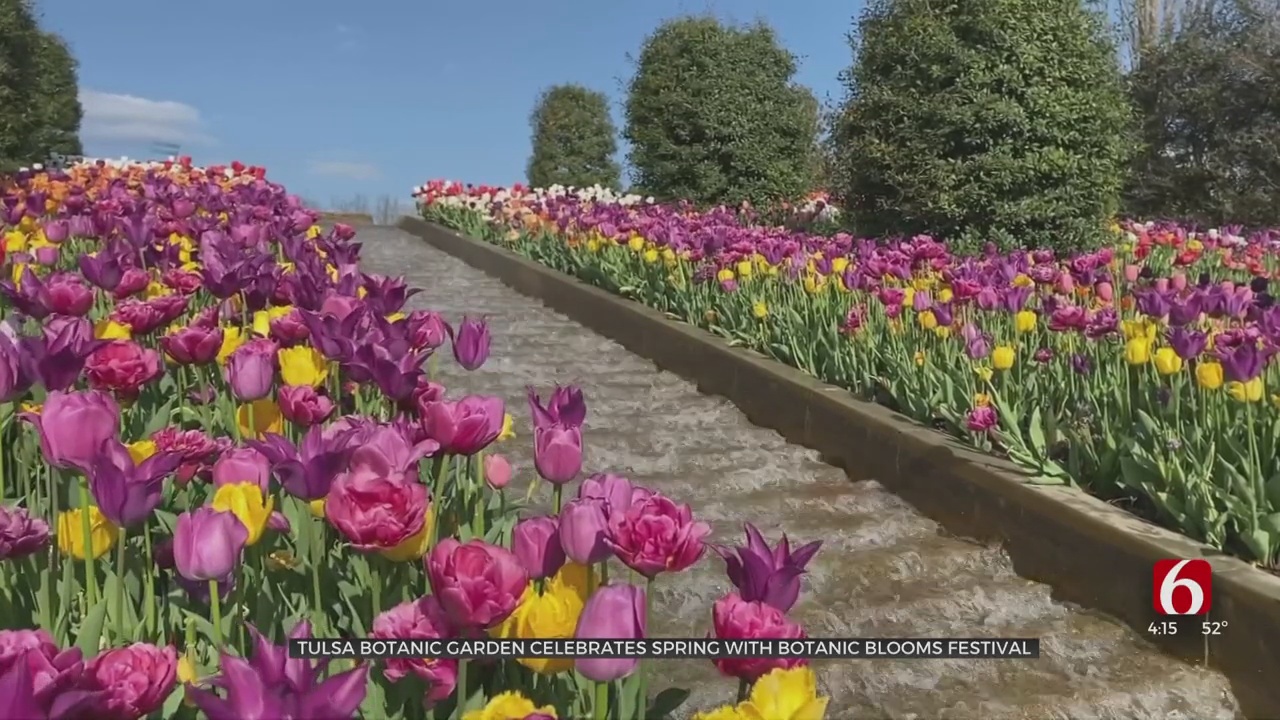 Tulsa Botanic Garden Celebrates Spring With Botanic Blooms Festival