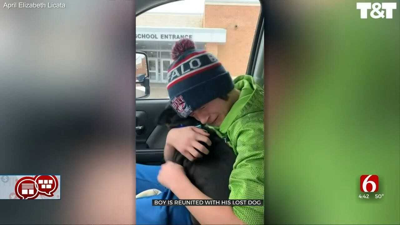 Something To Talk About: Boy Reunites With Lost Dog