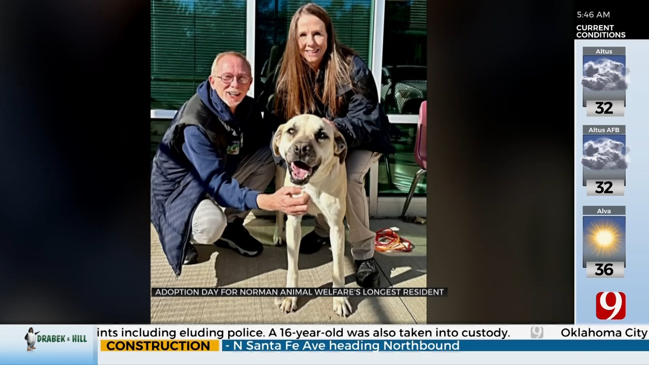 Norman Animal Shelter Says 'Goodbye' To Longest Resident 