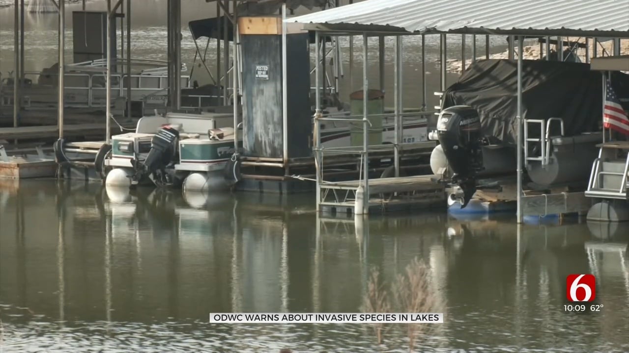 Okla. Department Of Wildlife Conservation Warns About Invasive Species In Lakes