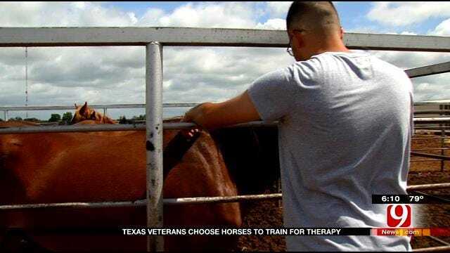 Wild Horses Help Tame PTSD In Pauls Valley