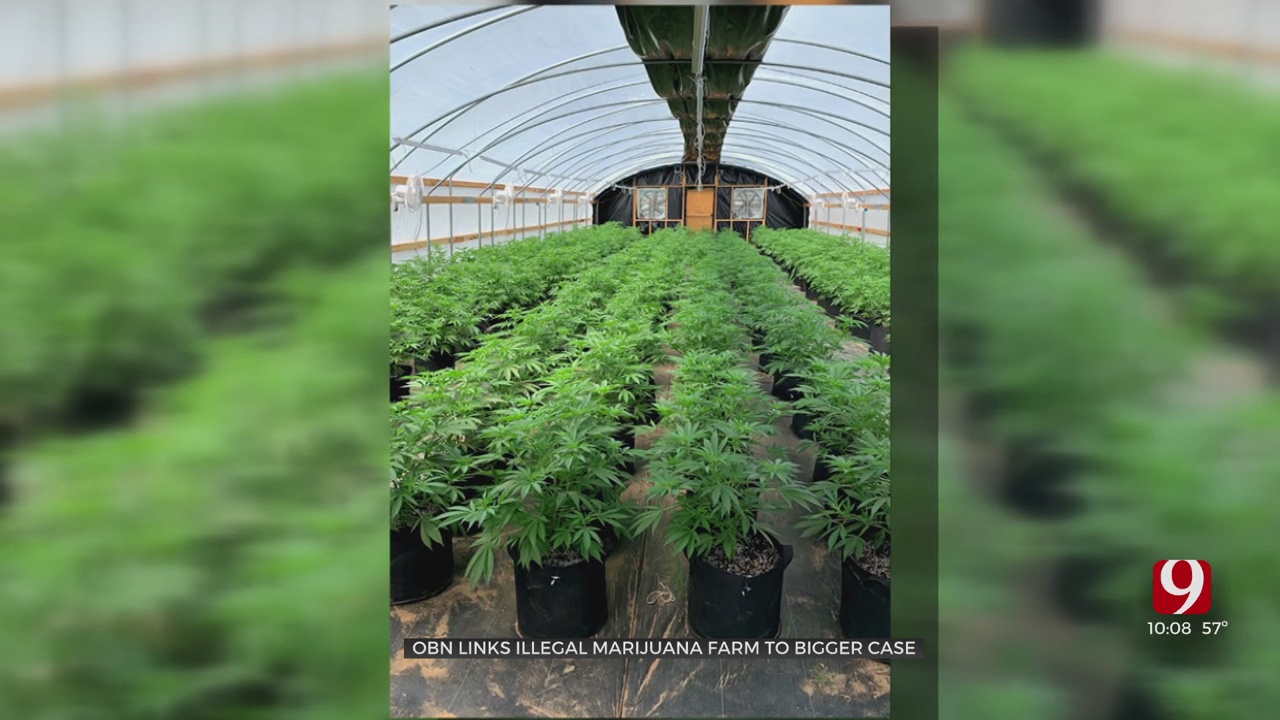 Oklahoma Bureau Of Narcotics Links Illegal Marijuana Farm To Bigger Case 