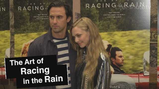 Milo Ventimiglia and Amanda Seyfried Share Chemistry On and Off the Screen at The Art of Racing in the Rain NYC Premiere