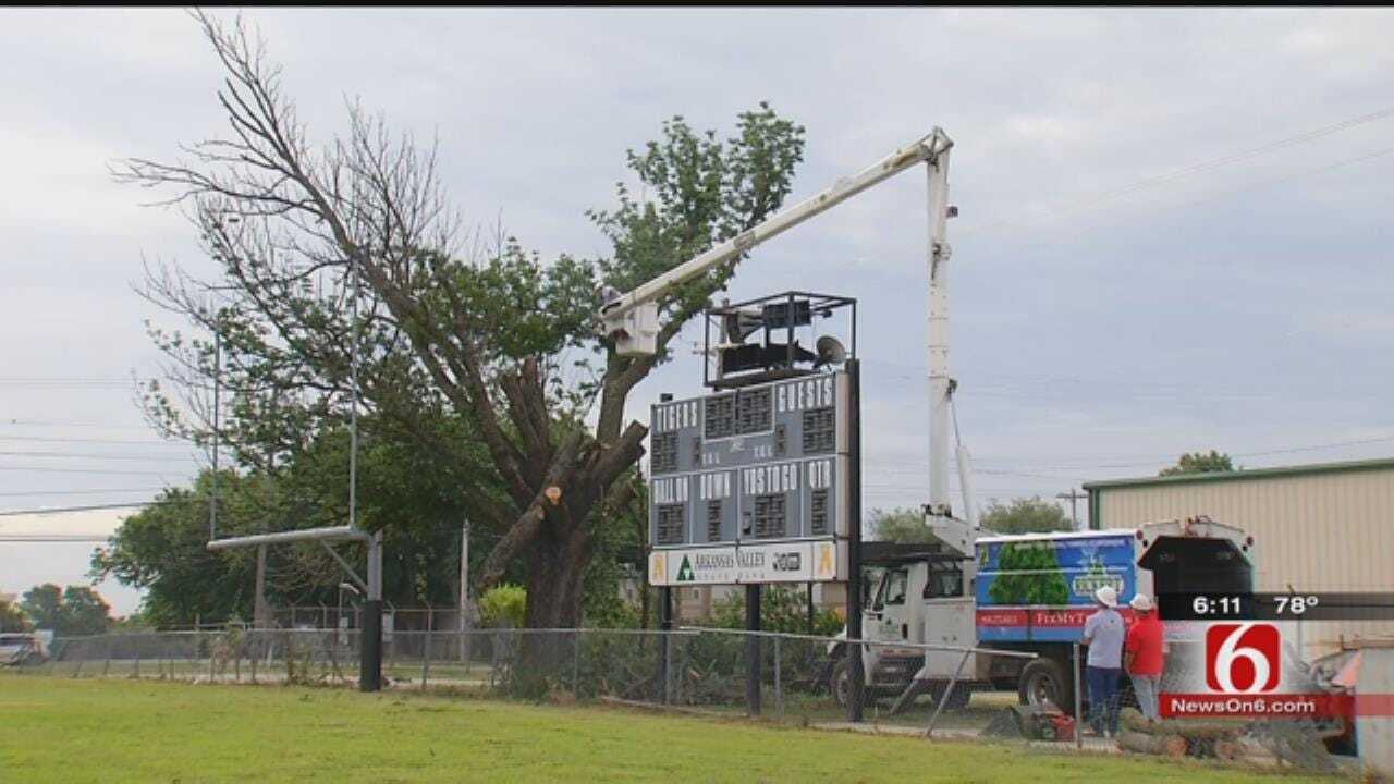 Broken Arrow's 'Touchdown Tree' Cut Down After Nearly 80 Years