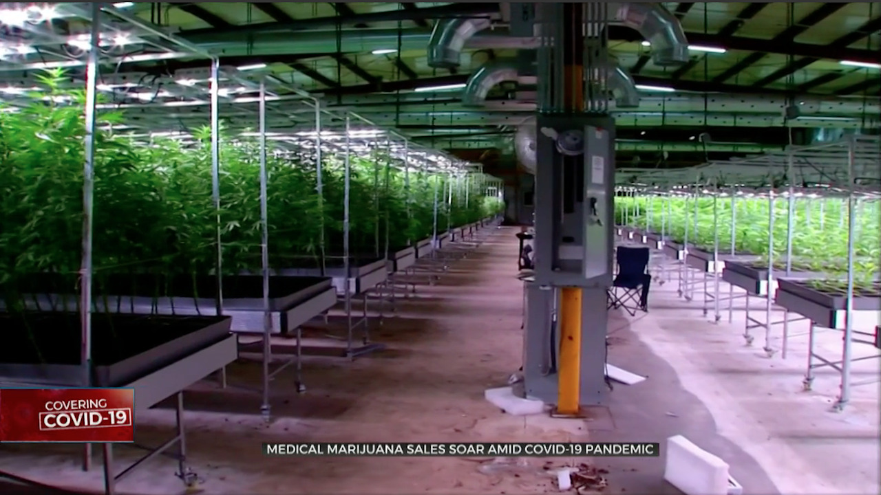 Medical Marijuana Sales Soar Amid COVID-19 Pandemic 