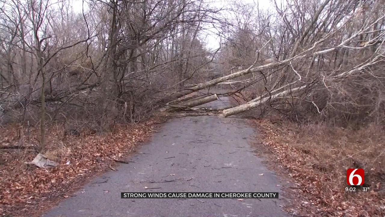 Severe Storms, Strong Winds Cause Damage In Cherokee County