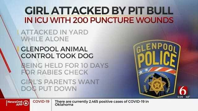 Glenpool Child In Intensive Care After Dog Attack