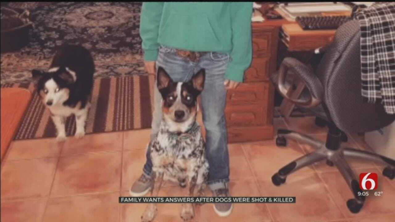 Foyil Woman Wants Answers After Dogs Found Shot And Killed