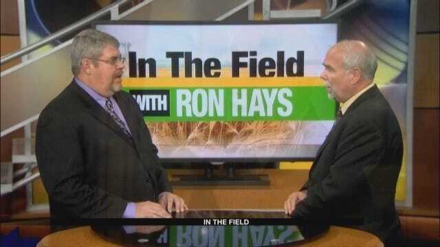In The Field: Roy Lee Lindsey