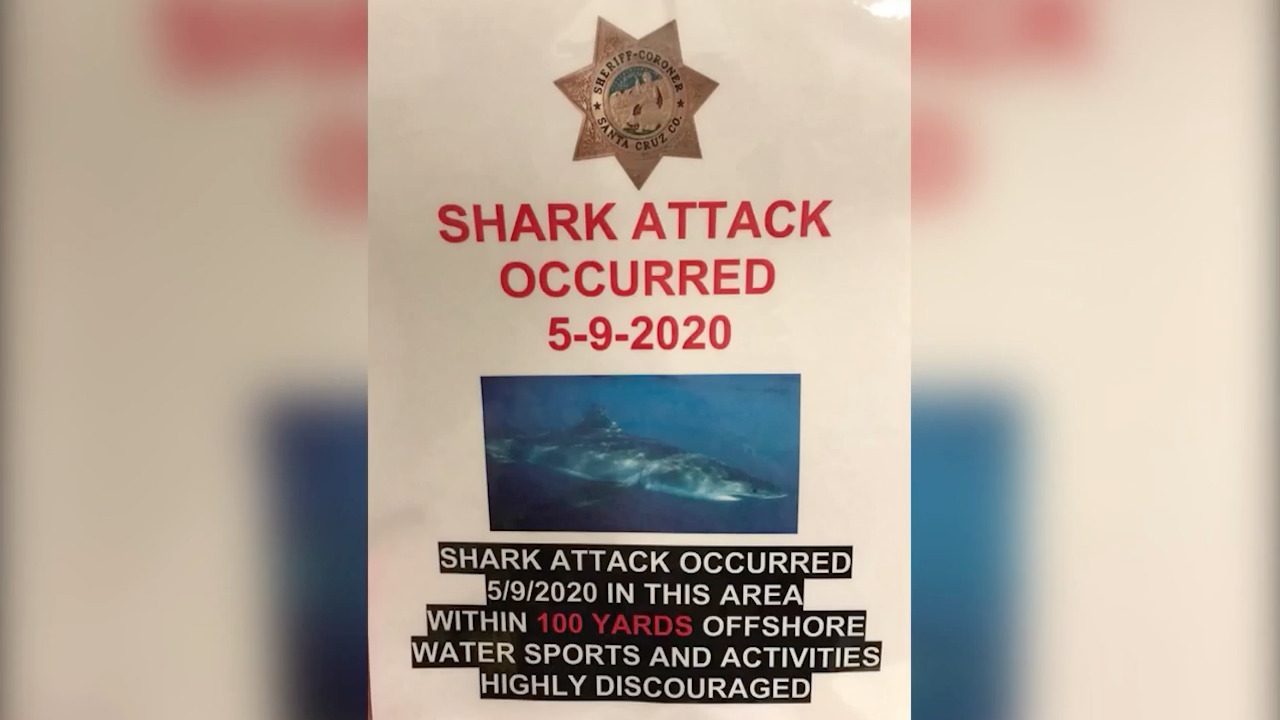  26-Year-Old California Surfer Mourned After Shark Attack At Santa Cruz Beach