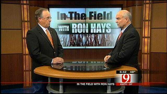 In The Field With Ron Hays: Peanut Harvest