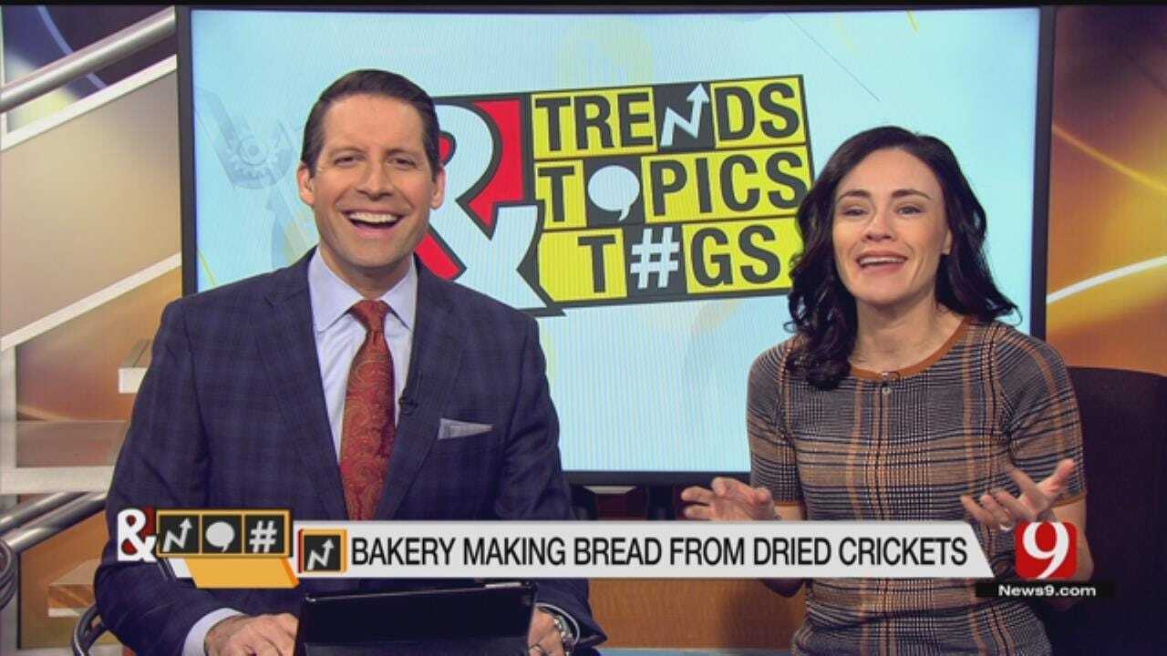 Trends, Topics & Tags: Bakery Makes Bread From Dried Crickets