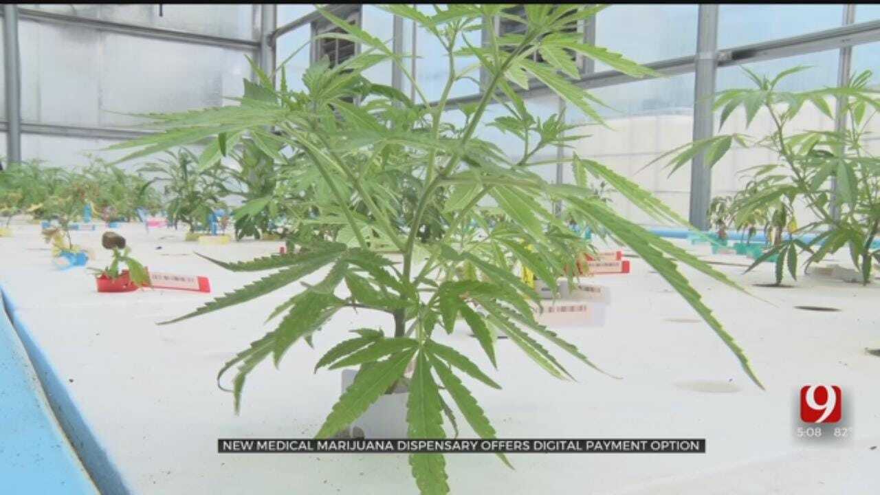 Norman Medical Marijuana Dispensary Is 1st In State To Accept Cash-Free Payments