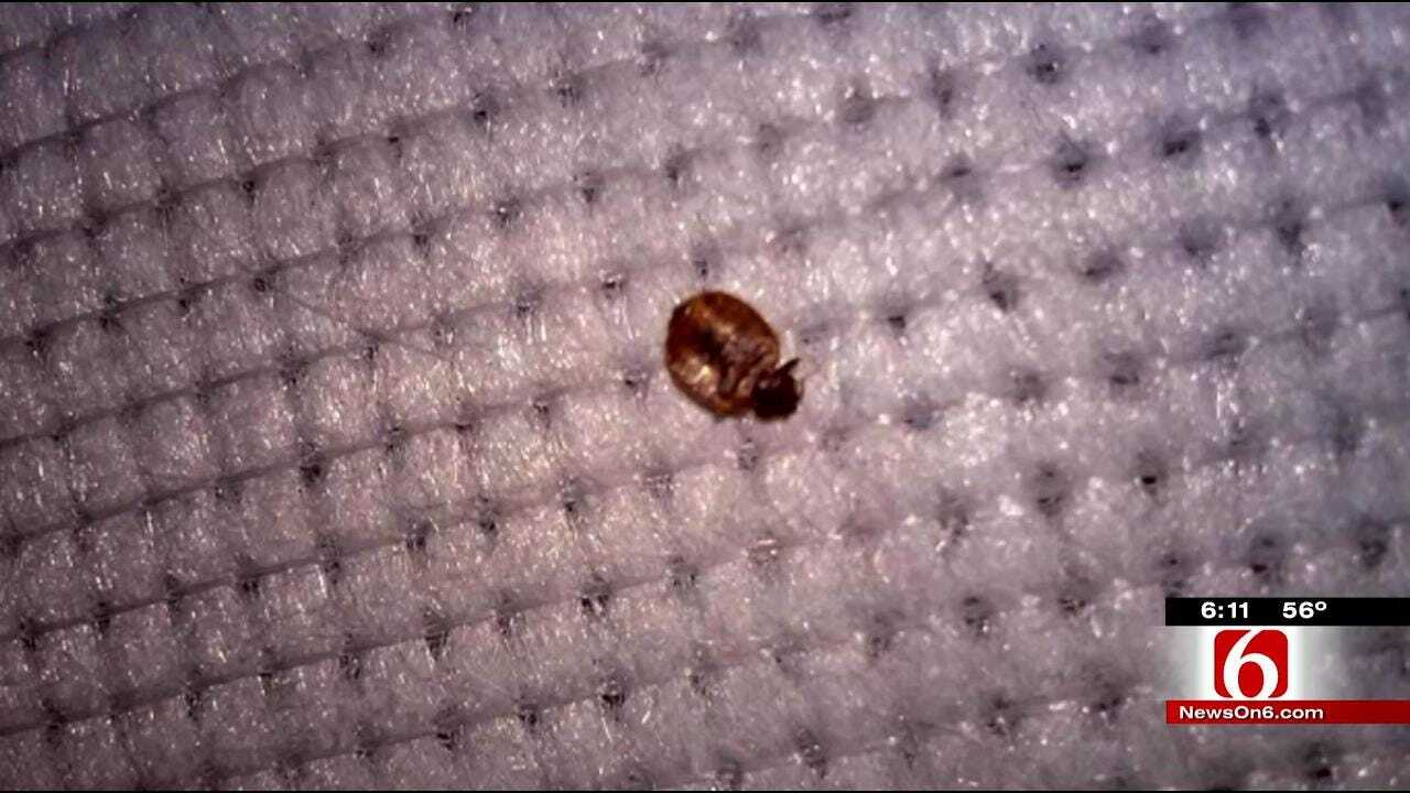 Bed Bugs Force Man Out Of Tulsa Apartment
