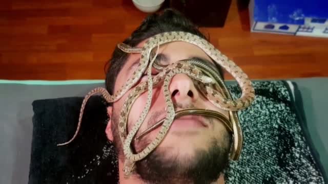 Spa Offers Snake Massages To Help People Relax