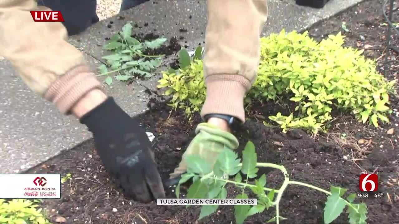 Tips And Tricks From Tulsa Garden Center For Veggie Planting Season
