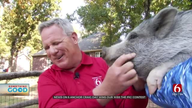 News On 6 Anchor Craig Day Puckers Up To ‘Kiss The Pig’