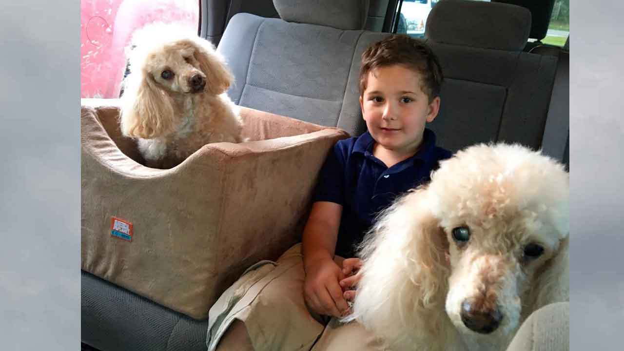 Adopted Boy Is On Mission To Save Old Dogs Who Need Homes