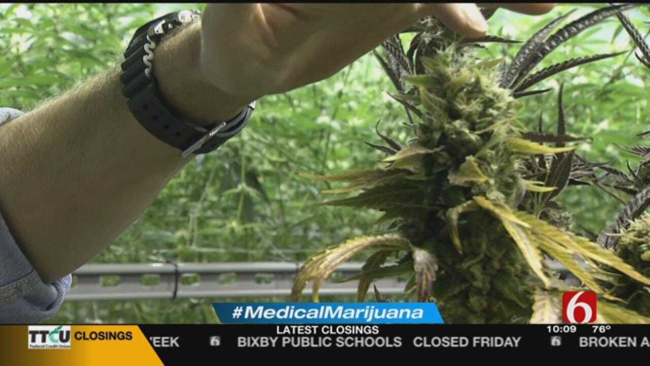 Medical Marijuana Could Bring Great Benefits, Challenges For Oklahoma