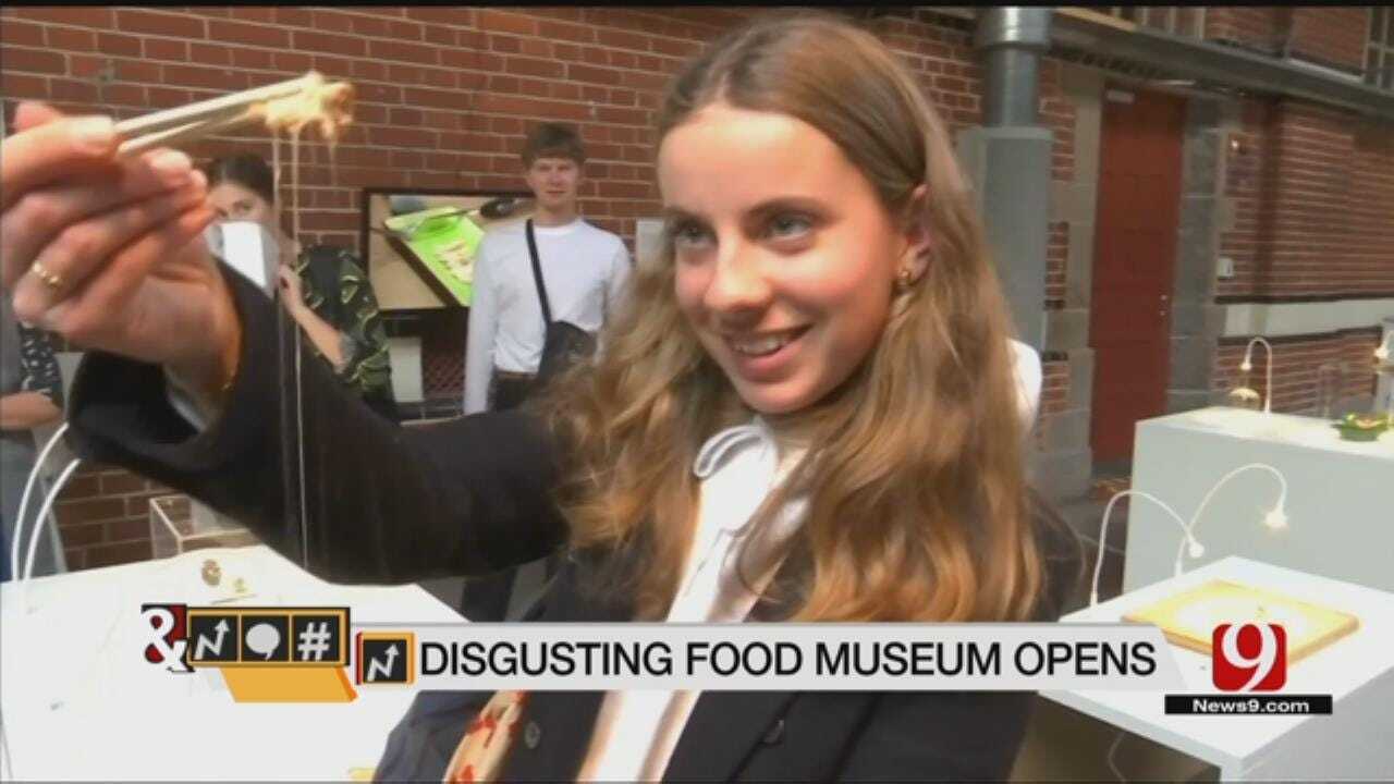 Trends, Topics & Tags: Disgusting Food Museum Opens