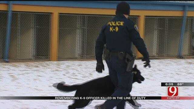 One Year Since Death Of OKC Police K-9 Kye