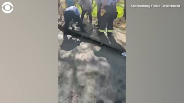 WATCH: First Responders Save Dog From Storm Drain