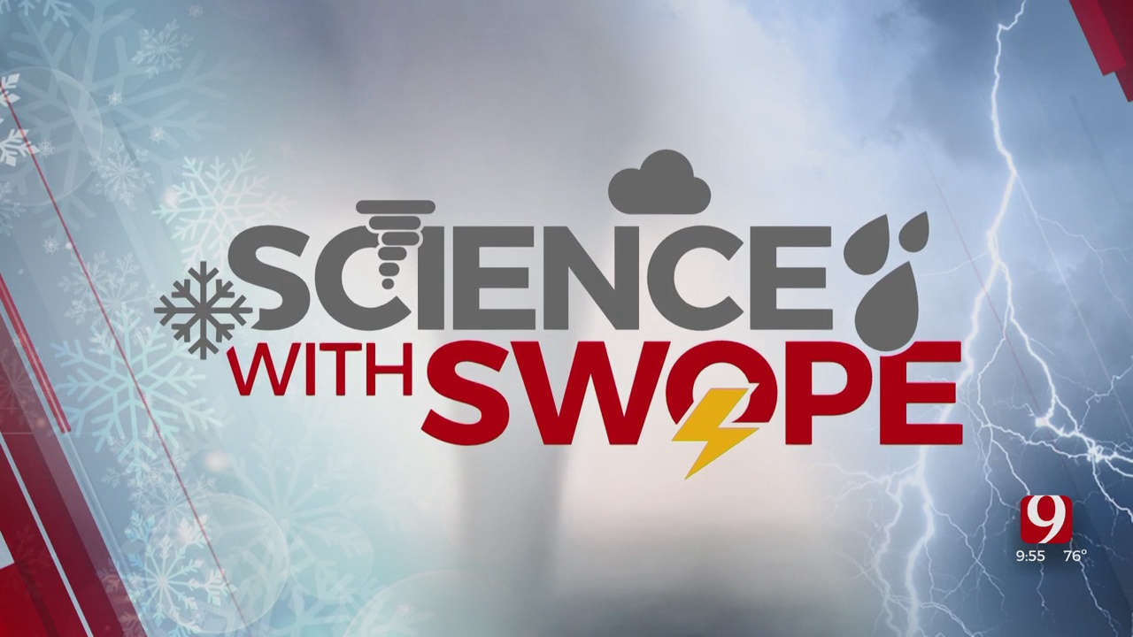 Science With Swope: Why The Leaves Change Colors
