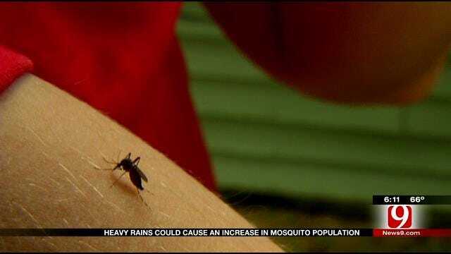 Precipitation Prompts Increase In Mosquito Population