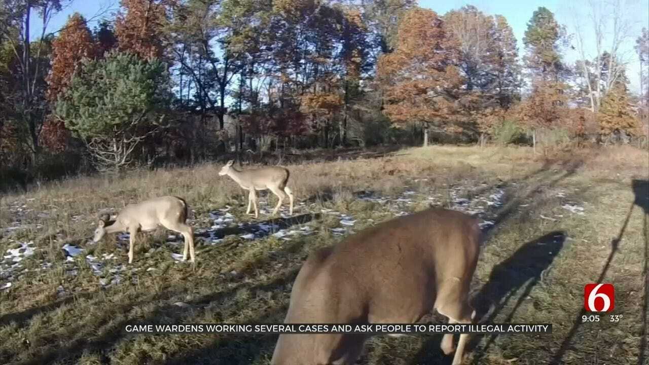 Oklahoma Game Wardens Working On Several Cases Of Poaching