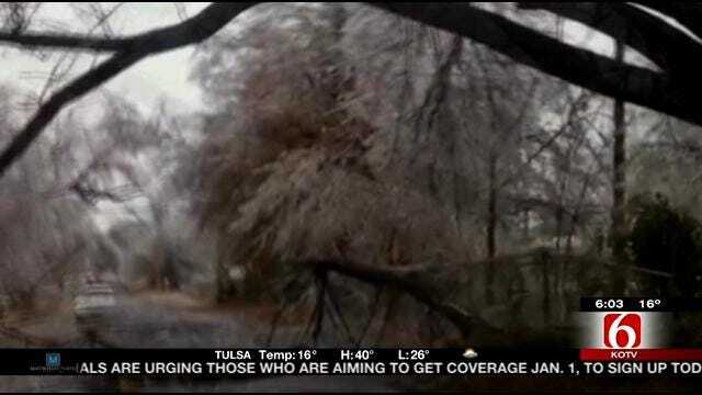 Viewer Video Shows Ice Covered Tulsa Tree Come Crashing Down
