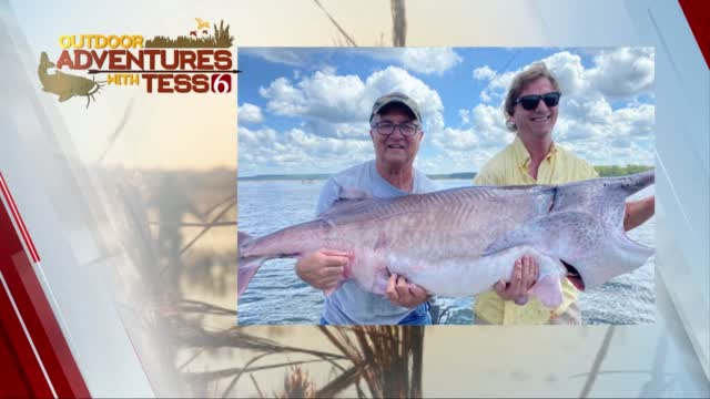 WATCH: 128 Pound Paddlefish Caught At Keystone Lake