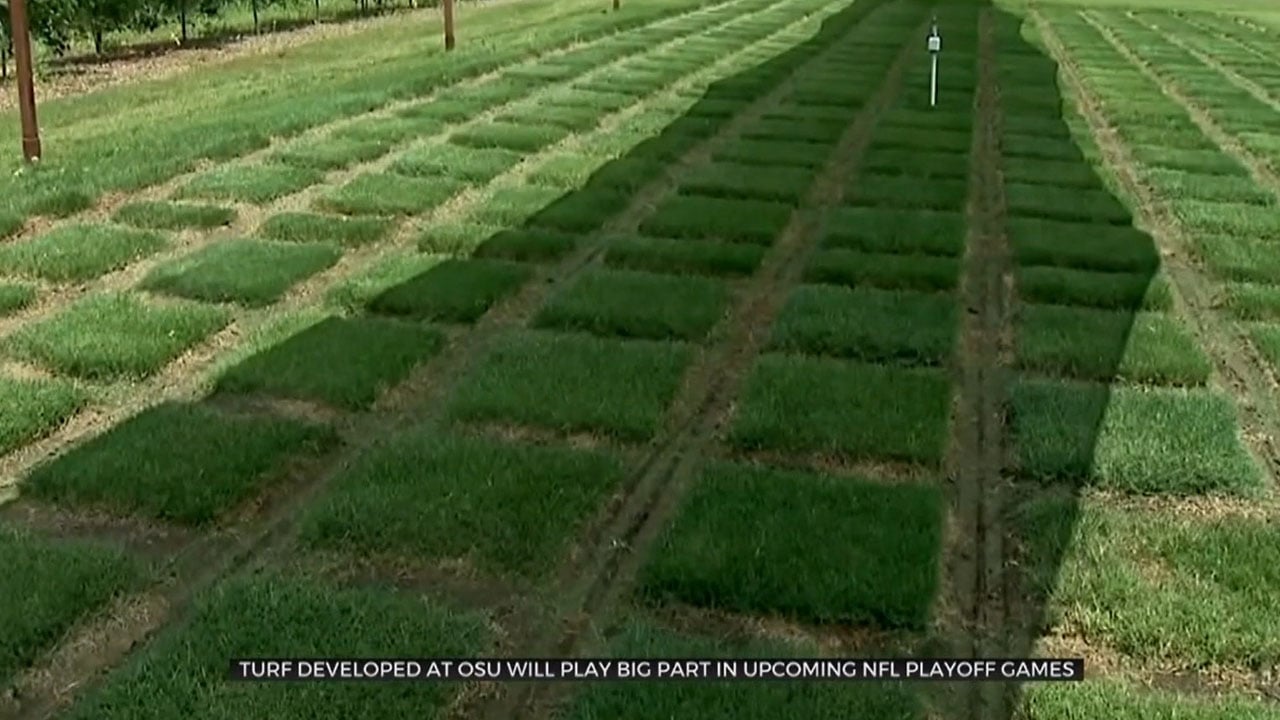 OSU-Developed Turf To Be Used In NFL Playoff