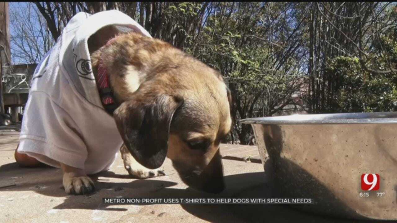 Animal Rescue Accepting T-Shirt Donations To Help Dogs With Special Needs
