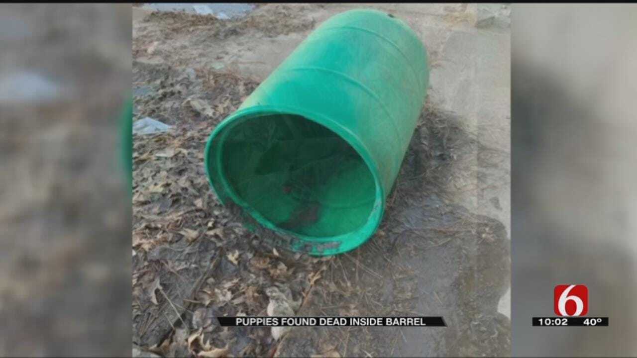 Tulsa Police: 3 German Shepherd Puppies Found Dead Inside Barrel