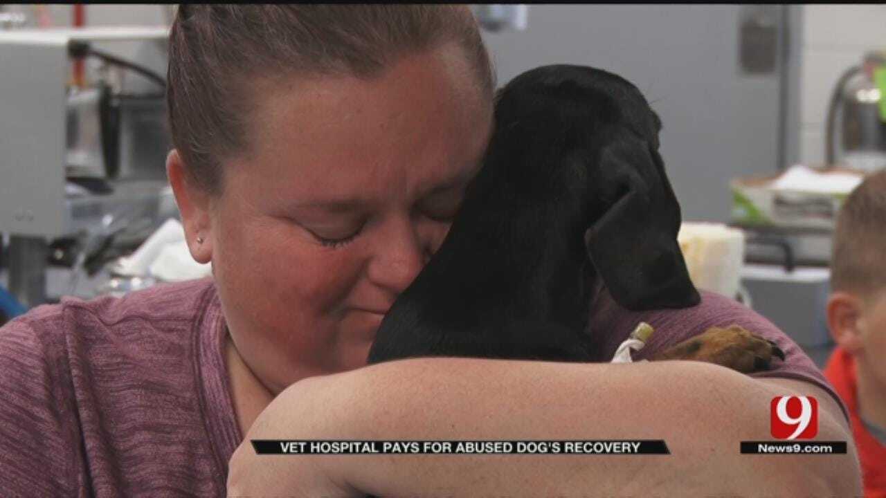 Local Vet Covers Surgery Costs For Lawton Dog Tortured By Child