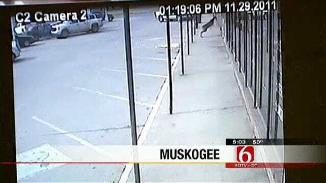 Deer Smashes Through Window At Downtown Muskogee Business