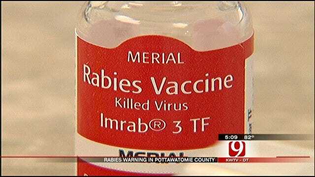 Reports Of Rabies Up Across Oklahoma