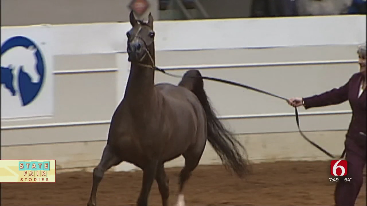 U.S. Nationals Arabian Horse Show Returns To Tulsa Fairgrounds